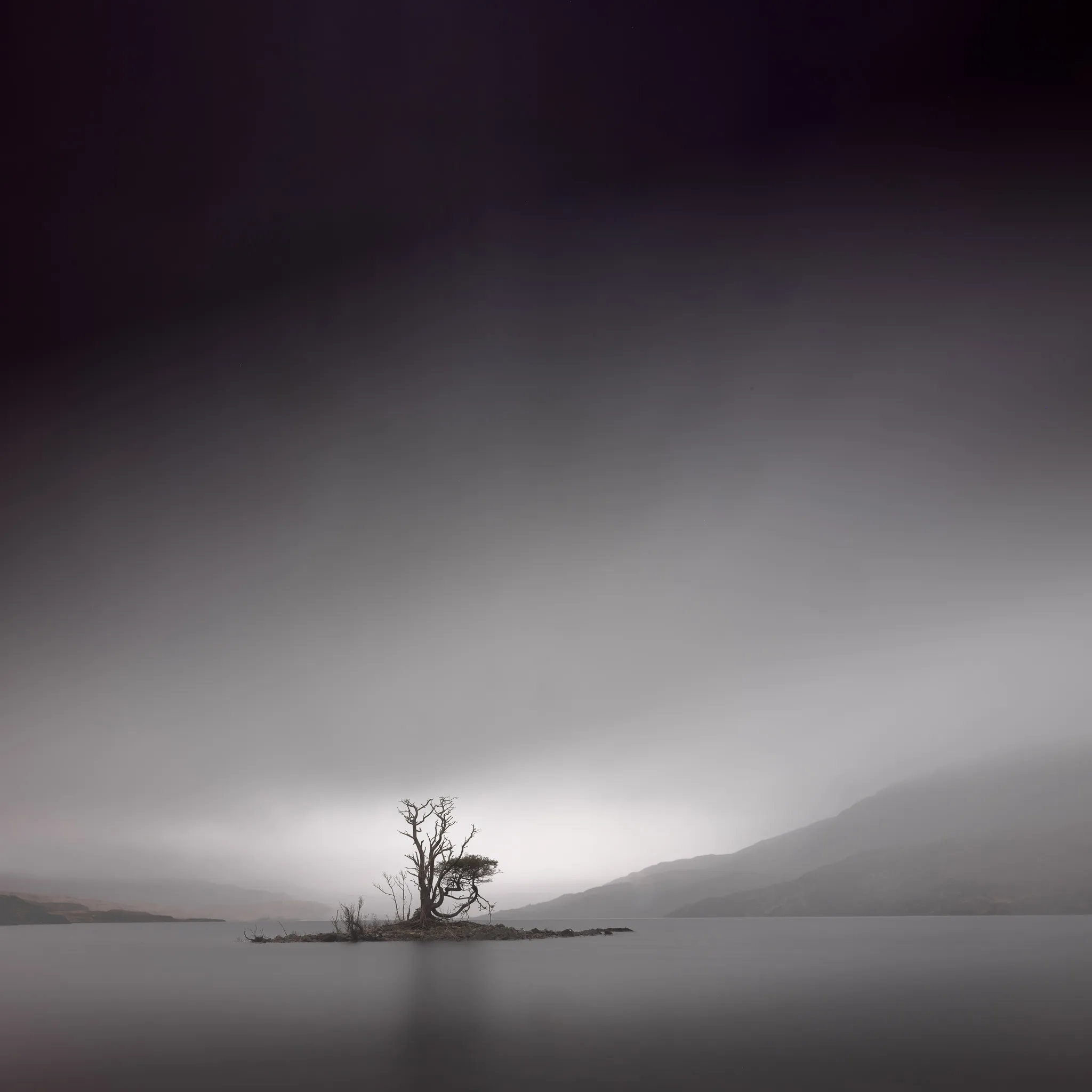 A single wind-bent tree on a tiny islet in a misty loch, a dark vignette framing the pale scene