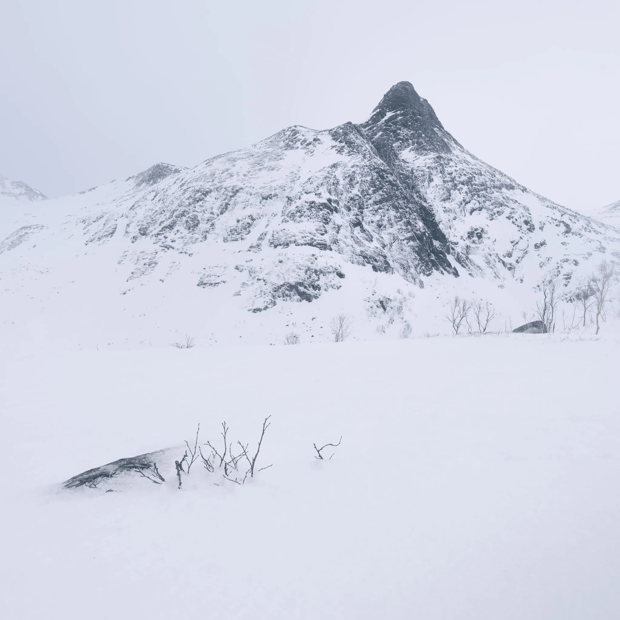 A snow-covered peak above a broad white snowfield with bare shrubs in the foreground