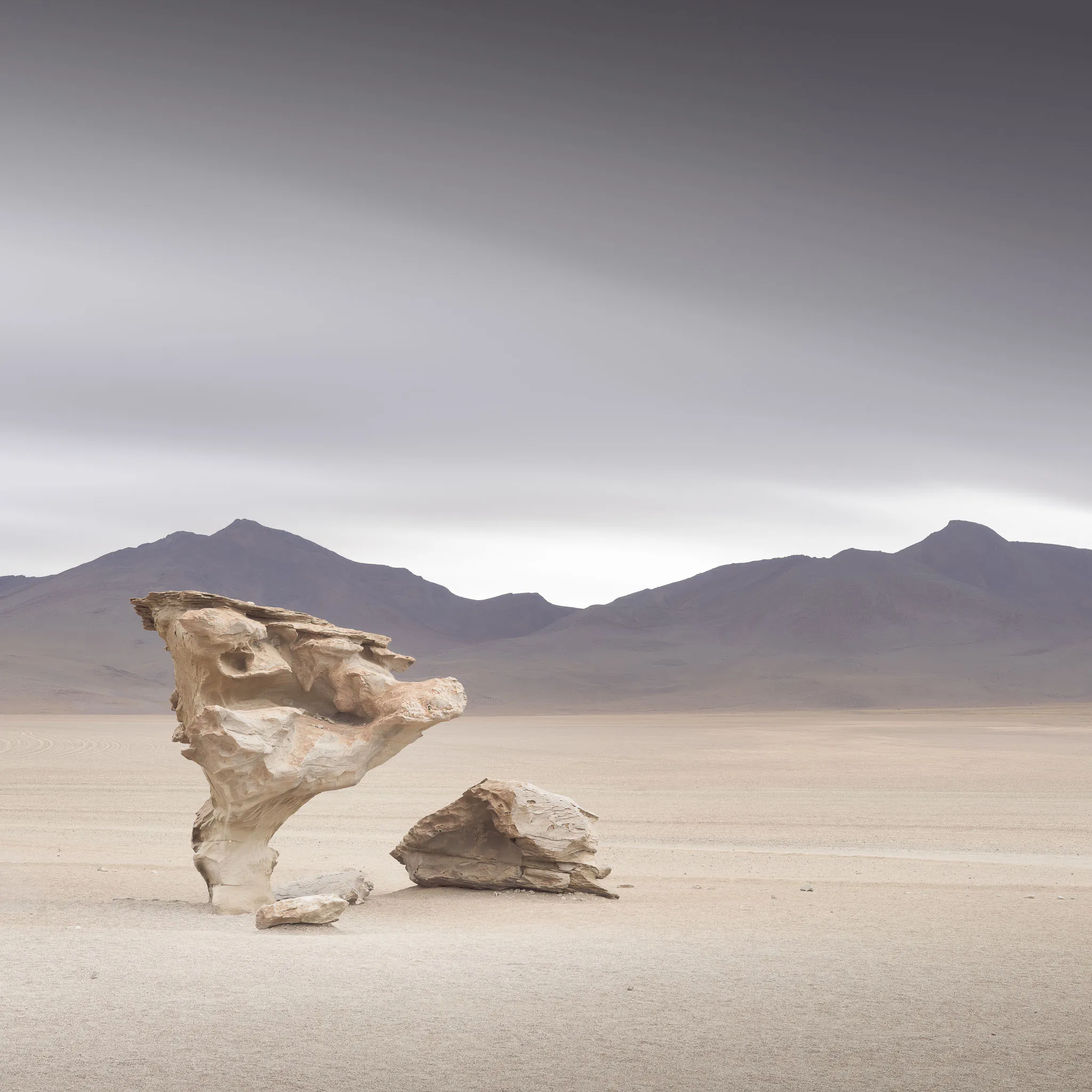 A wind-sculpted stone tree rock formation standing alone on a pale desert plain with distant mountains under a soft grey sky