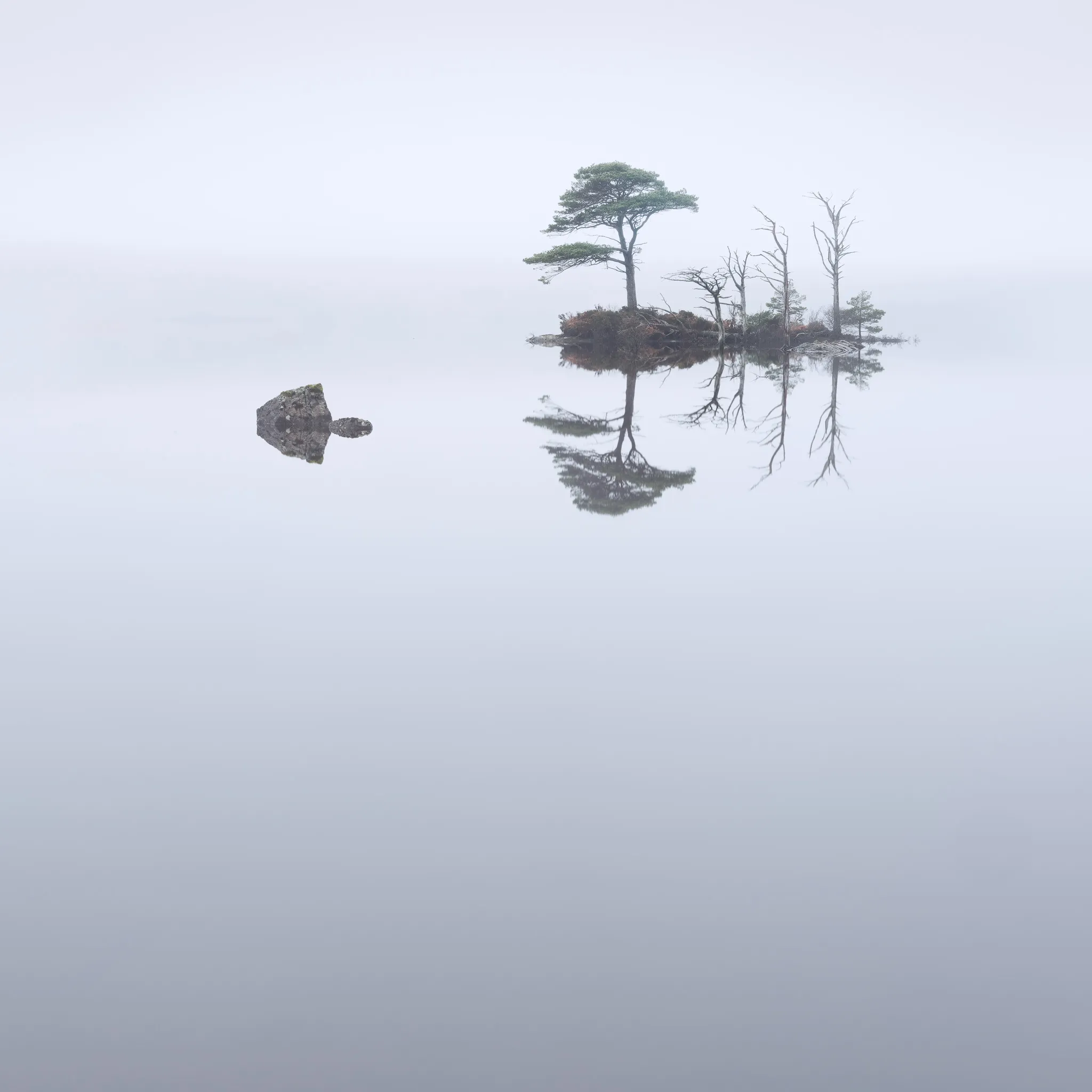 A misty island of pines with a perfect reflection, a lone rock sitting on the still water to the left