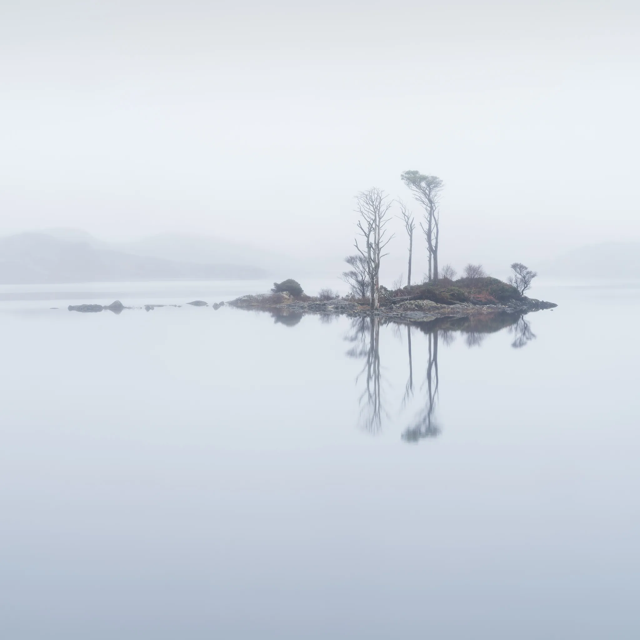 A tree-topped islet mirrored in the glassy, mist-softened surface of a silver loch