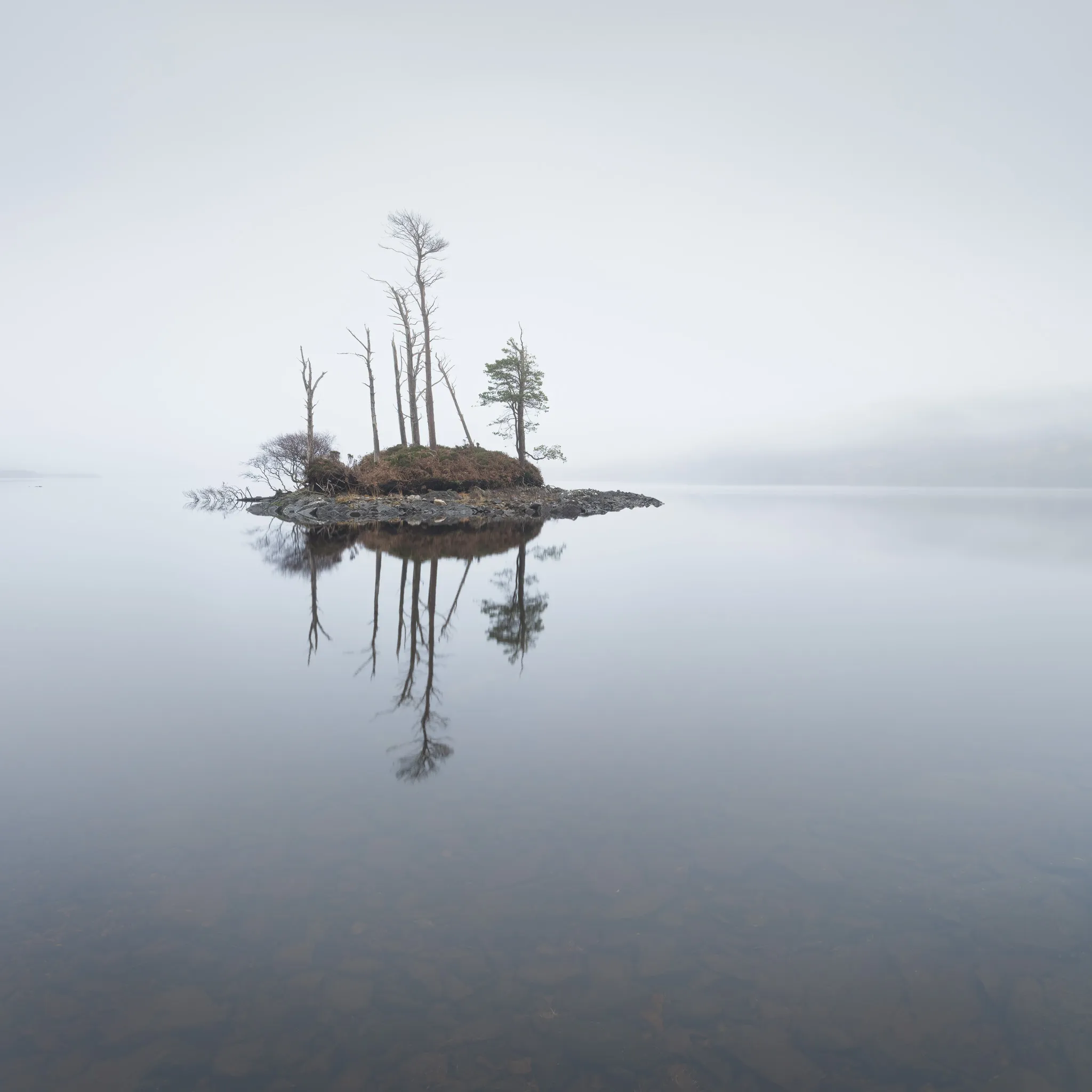 A tree-topped island mirrored in calm, clear water, pale mist erasing the far shore