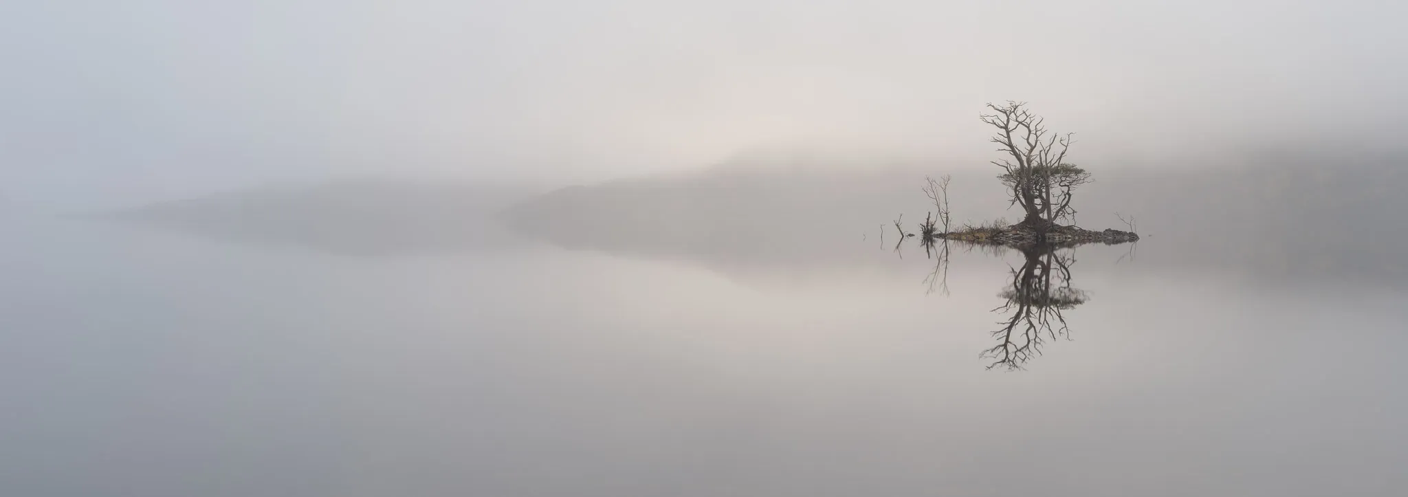 A single tree on a tiny island in a fog-bound loch, mirrored in perfectly still water