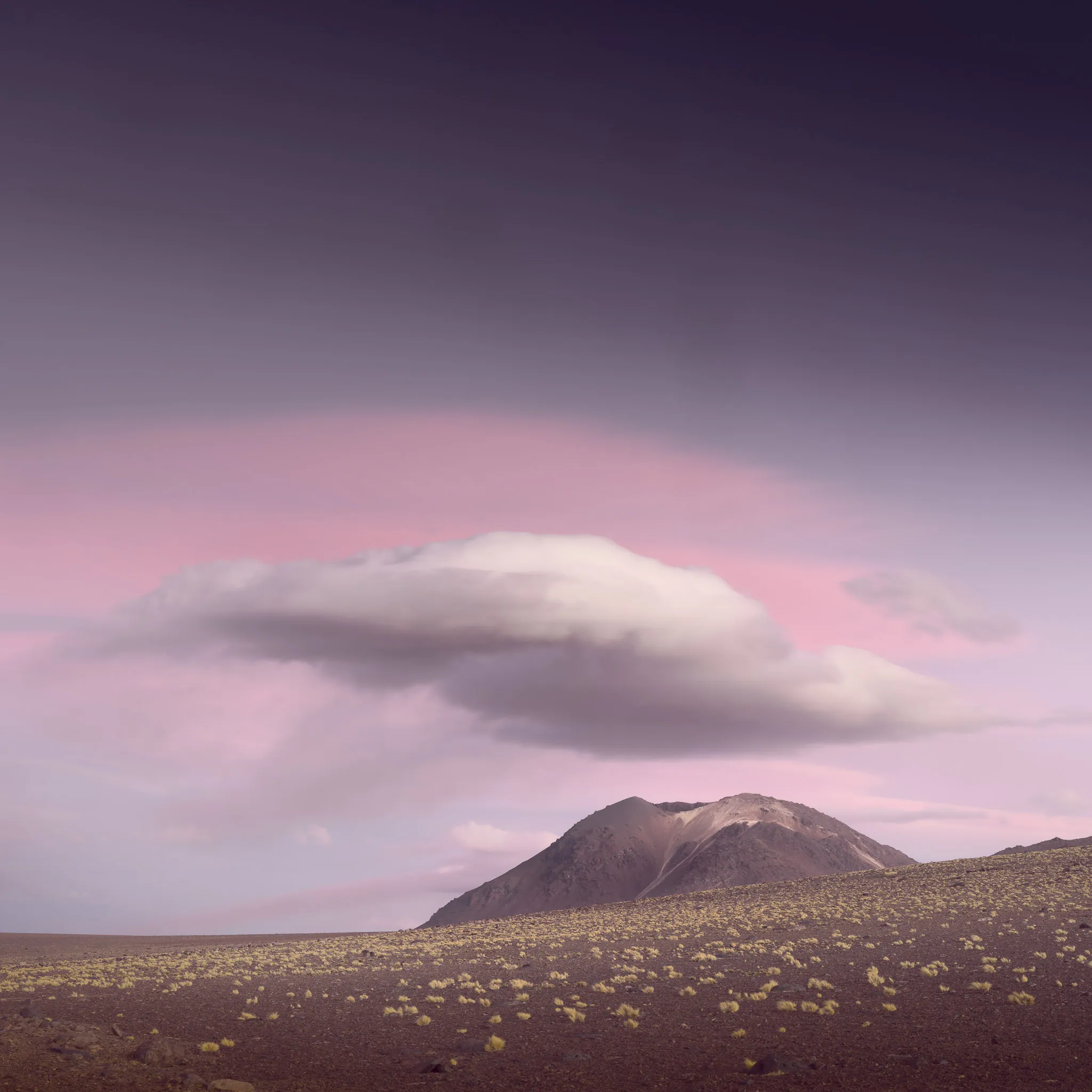 A single soft cloud drifting over a volcano at dusk, a pink twilight sky above a plain dotted with pale tussock grass